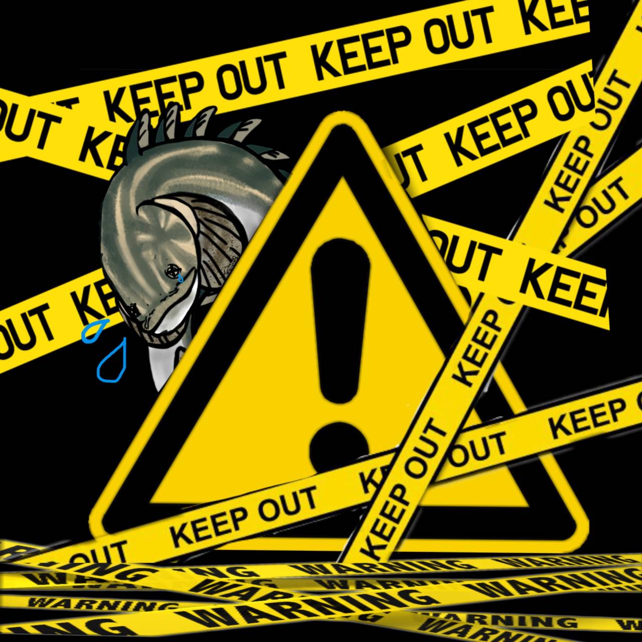 魚との出会いを大切にしながら販売