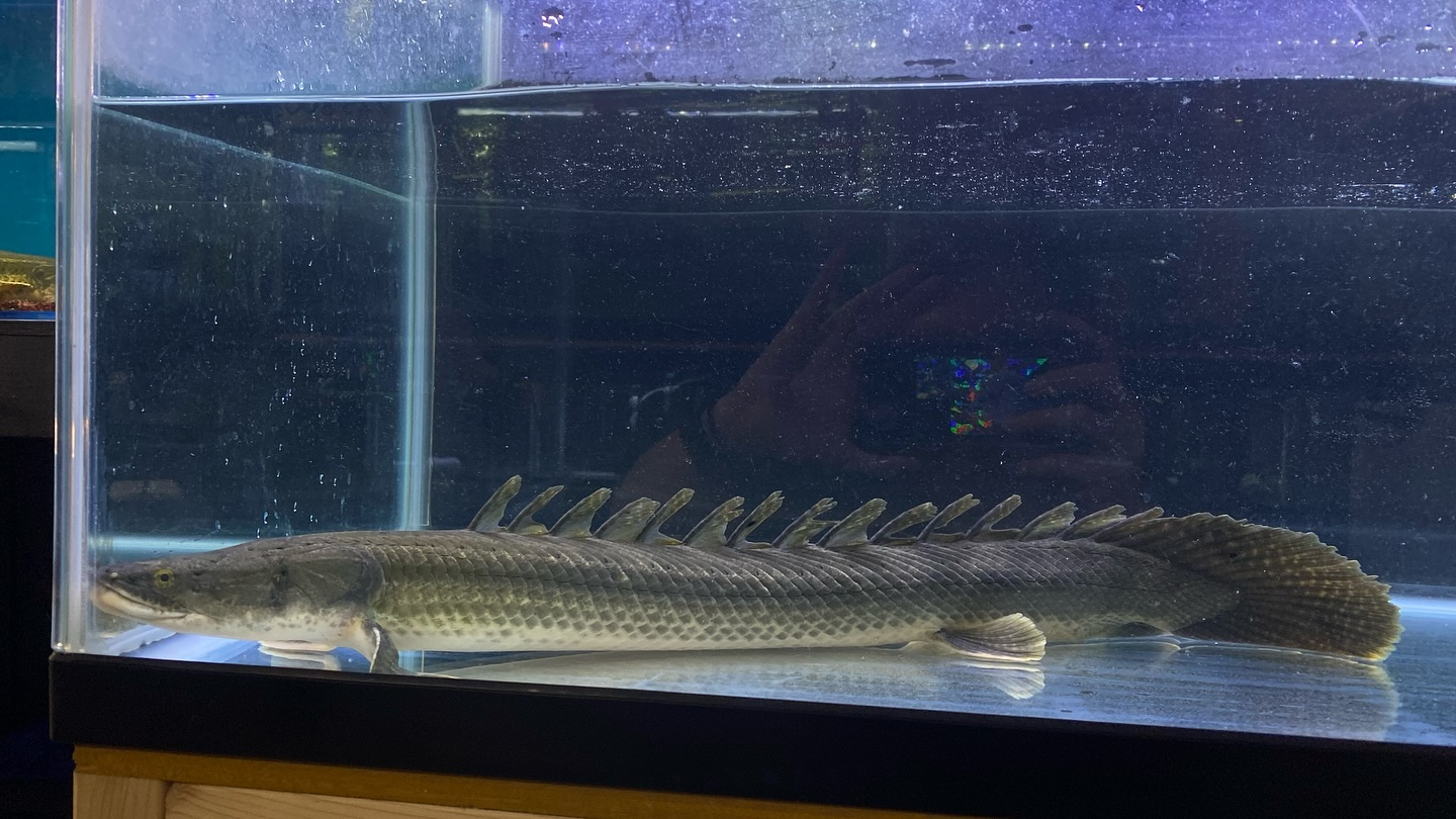 aquastyleg.base.shop/items/105...