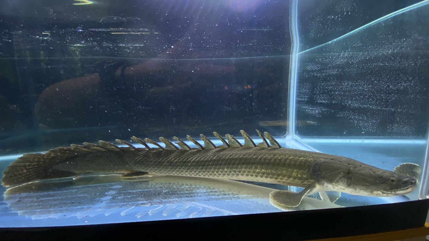 aquastyleg.base.shop/items/105...