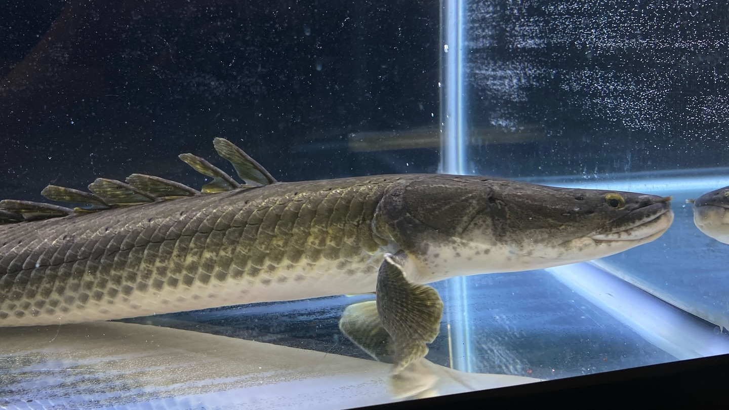 aquastyleg.base.shop/items/105...