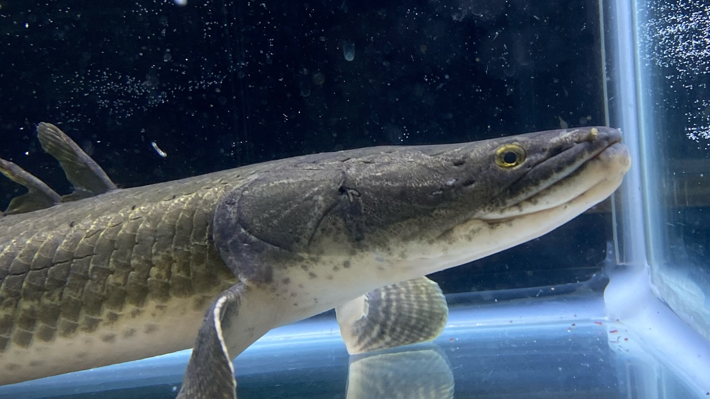 aquastyleg.base.shop/items/105...