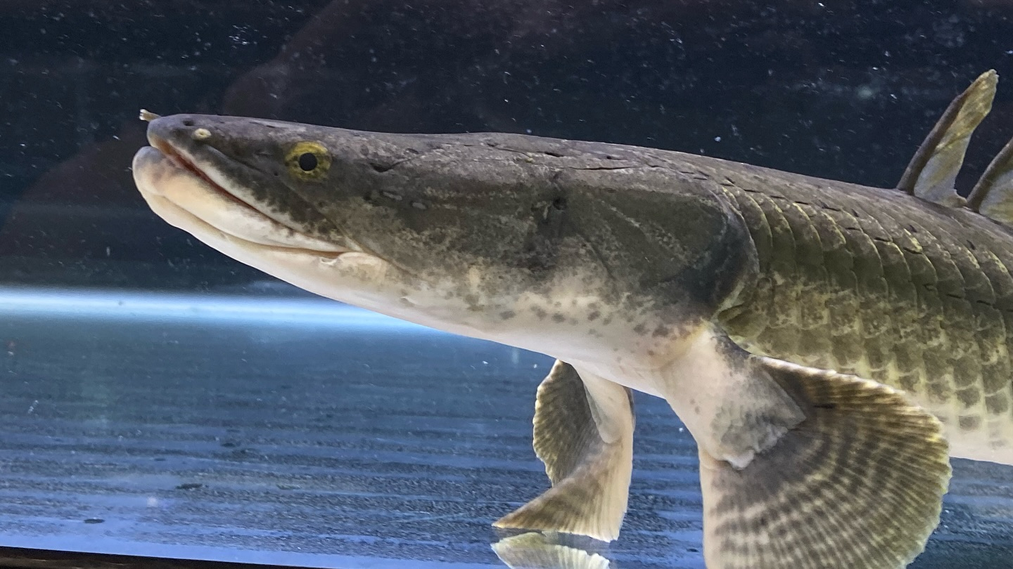 aquastyleg.base.shop/items/105...