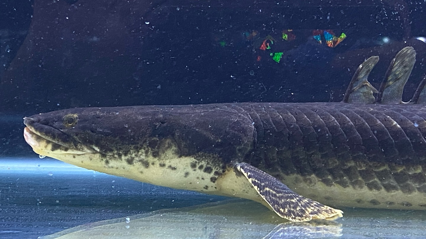 aquastyleg.base.shop/items/105...