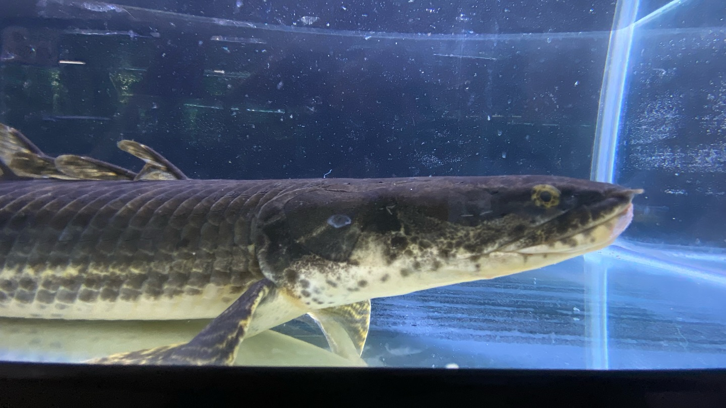 aquastyleg.base.shop/items/105...