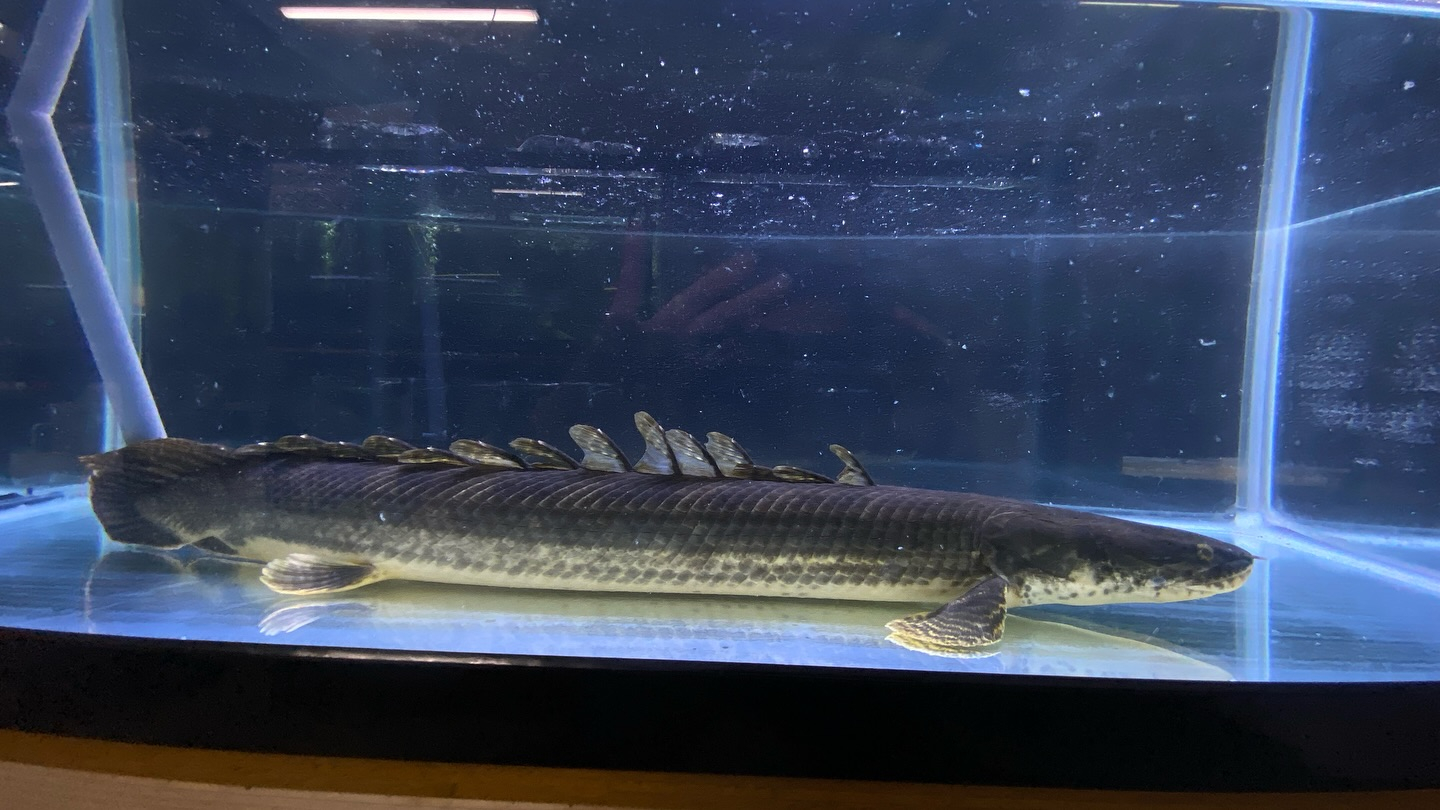 aquastyleg.base.shop/items/105...