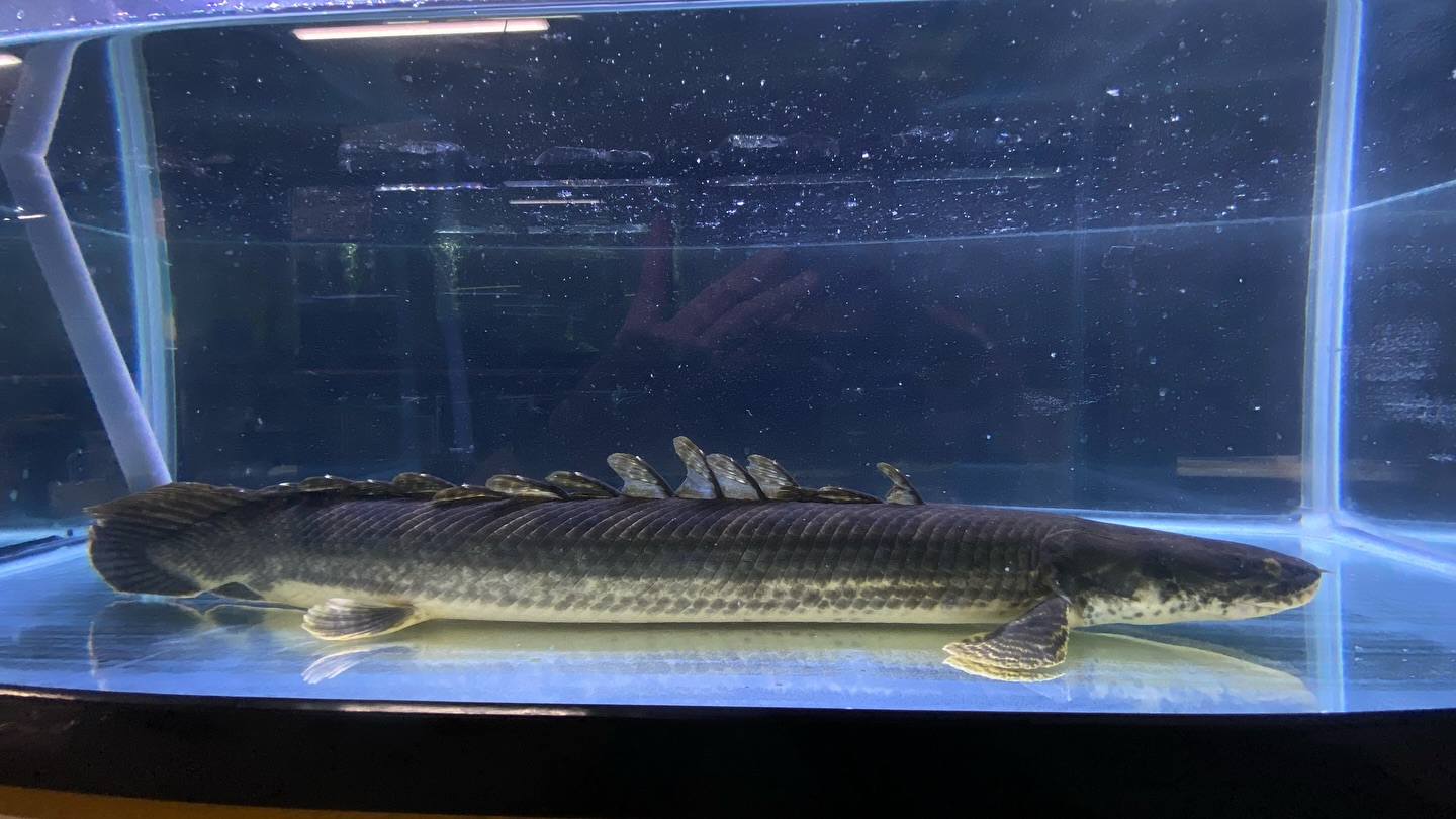 aquastyleg.base.shop/items/105...