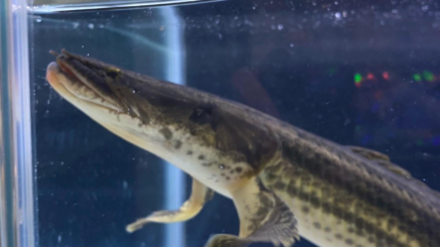 aquastyleg.base.shop/items/105...