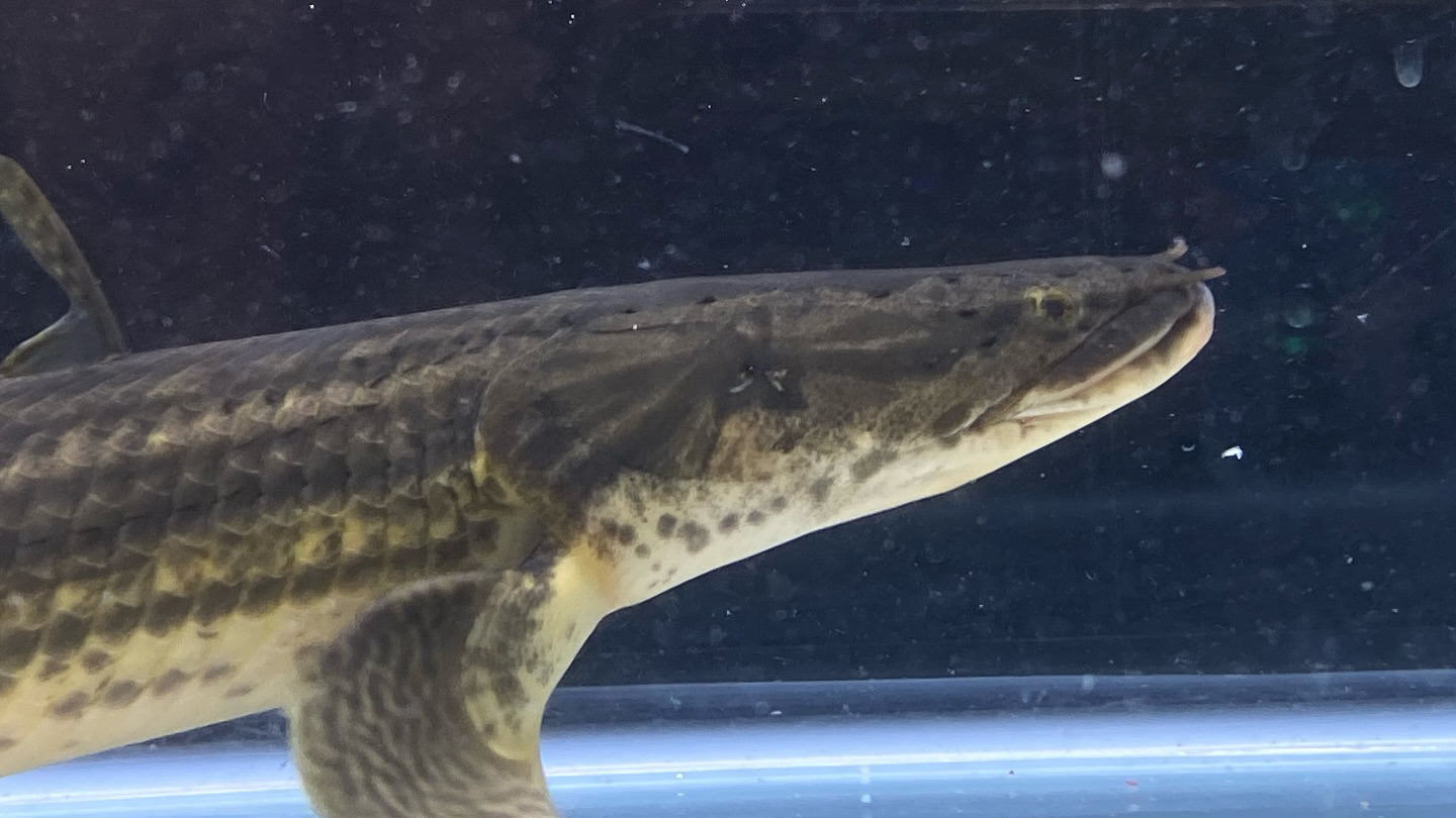 aquastyleg.base.shop/items/105...