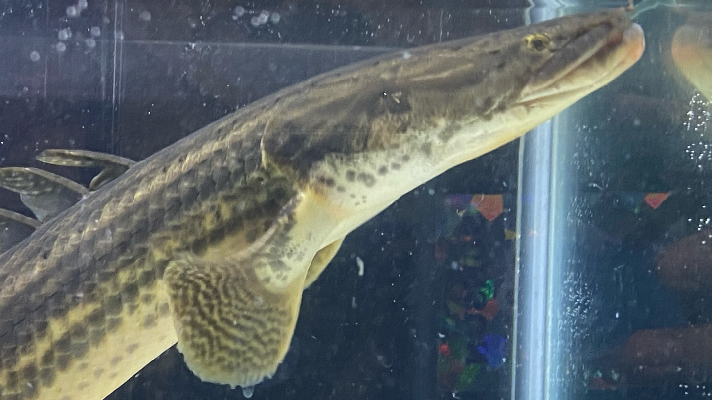 aquastyleg.base.shop/items/105...