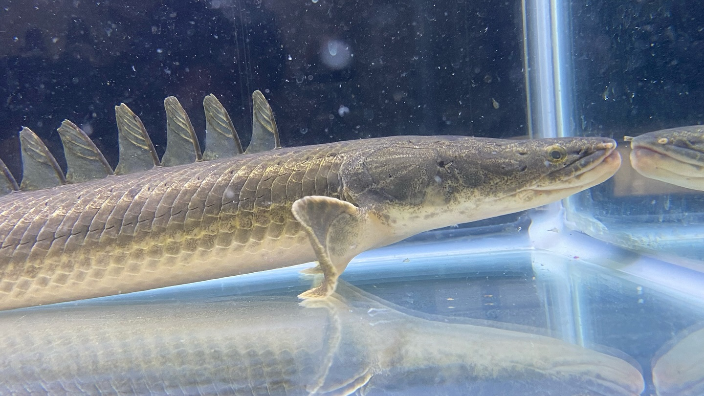 aquastyleg.base.shop/items/105...