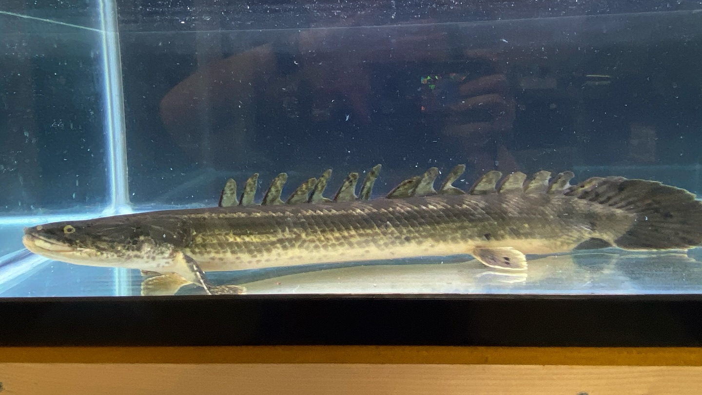 aquastyleg.base.shop/items/105...