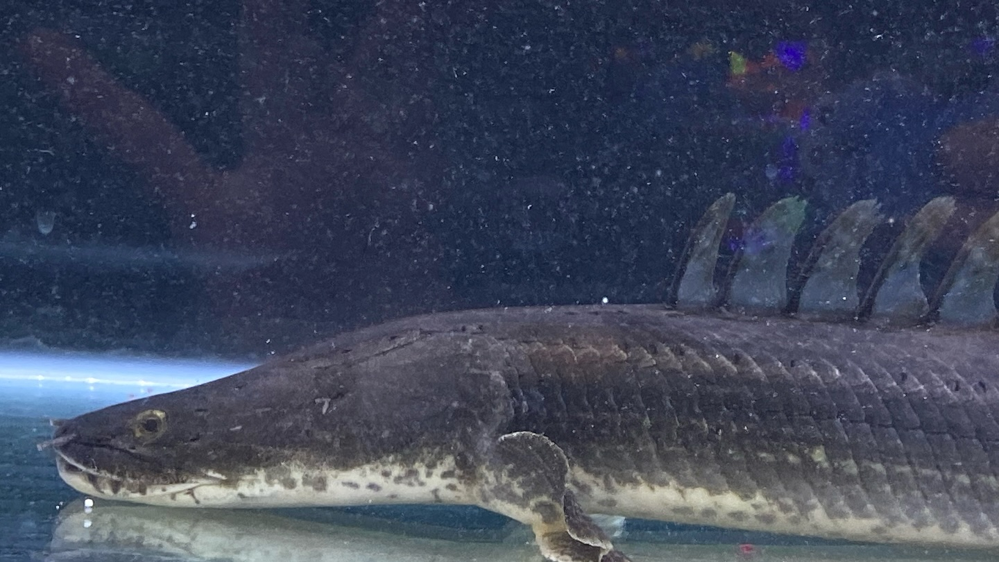 aquastyleg.base.shop/items/106...