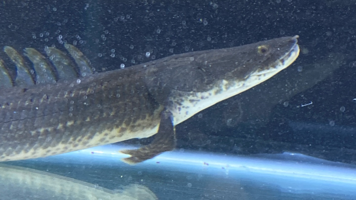 aquastyleg.base.shop/items/106...