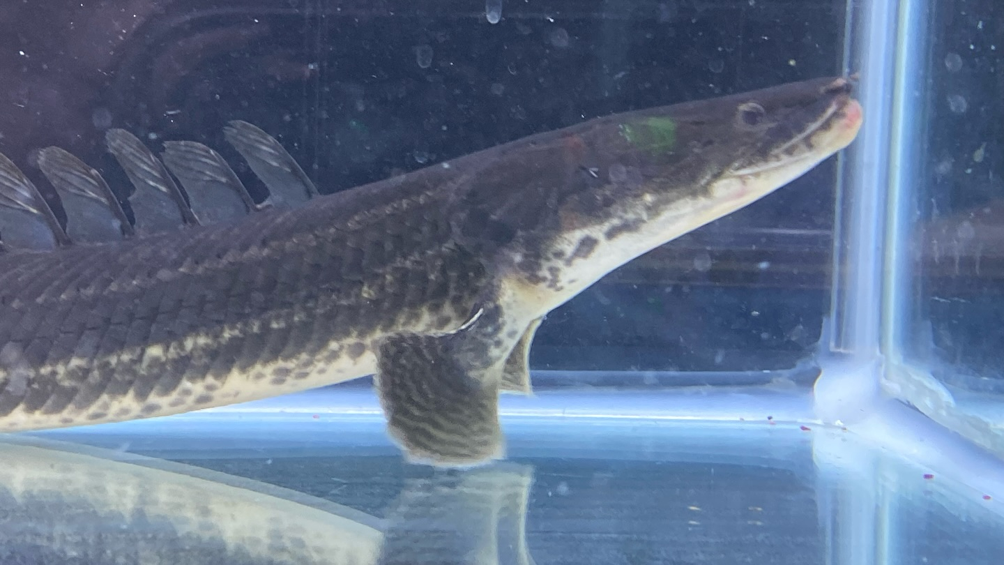 aquastyleg.base.shop/items/106...