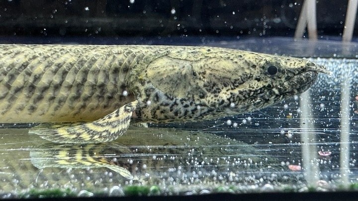 ㊗️３周年祭㊗️SALE🛍️