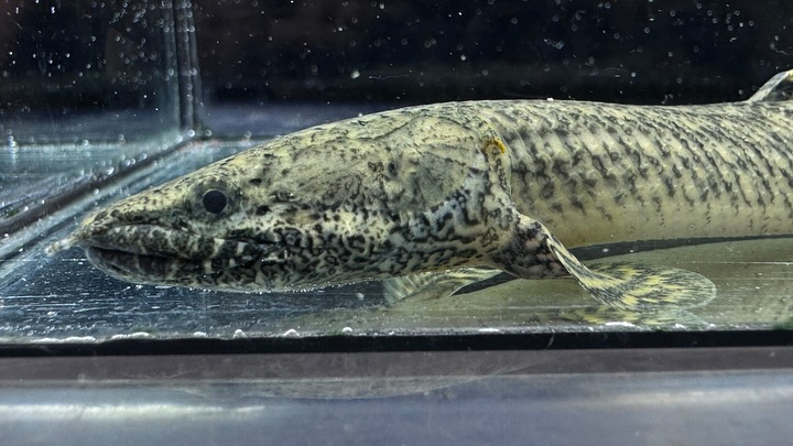 ㊗️３周年祭㊗️SALE🛍️