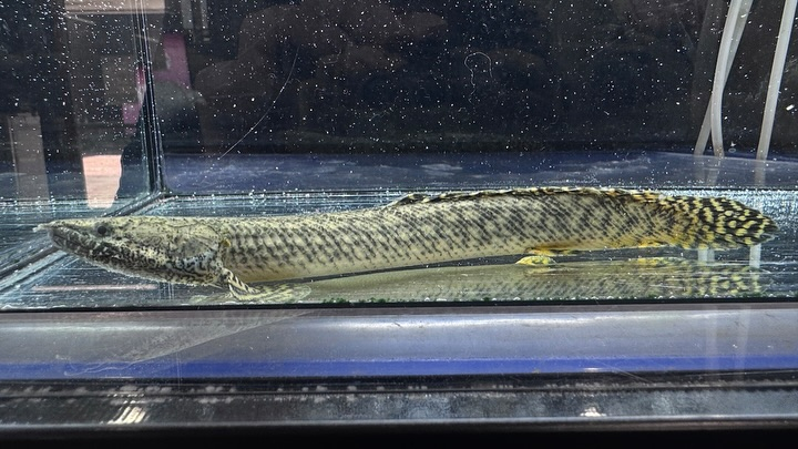 ㊗️３周年祭㊗️SALE🛍️