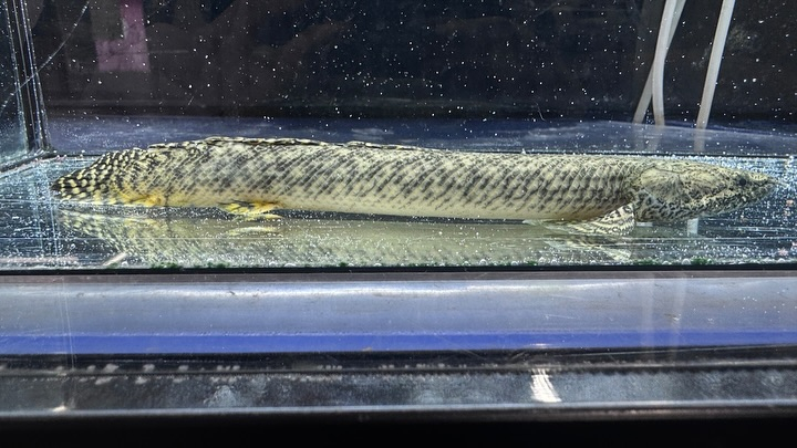 ㊗️３周年祭㊗️SALE🛍️