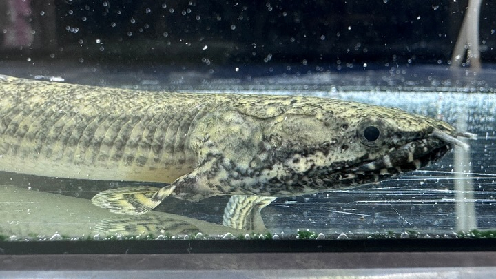 ㊗️３周年祭㊗️SALE🛍️