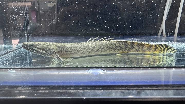 ㊗️３周年祭㊗️SALE🛍️