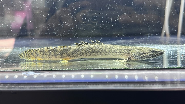 ㊗️３周年祭㊗️SALE🛍️