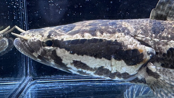 ㊗️3周年祭㊗️SALE🛍️通販対象商品★