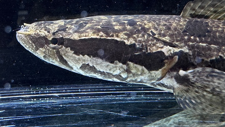 ㊗️3周年祭㊗️SALE🛍️通販対象商品★