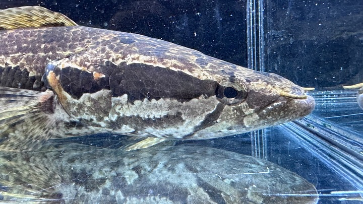 ㊗️3周年祭㊗️SALE🛍️通販対象商品★