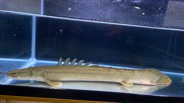 ㊗️３周年祭㊗️SALE🛍️