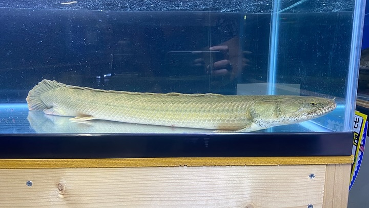 ㊗️３周年祭㊗️SALE🛍️