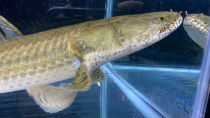 ㊗️３周年祭㊗️SALE🛍️