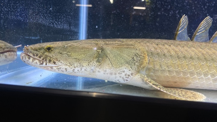 ㊗️３周年祭㊗️SALE🛍️