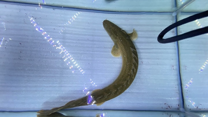 ㊗️３周年祭㊗️SALE🛍️