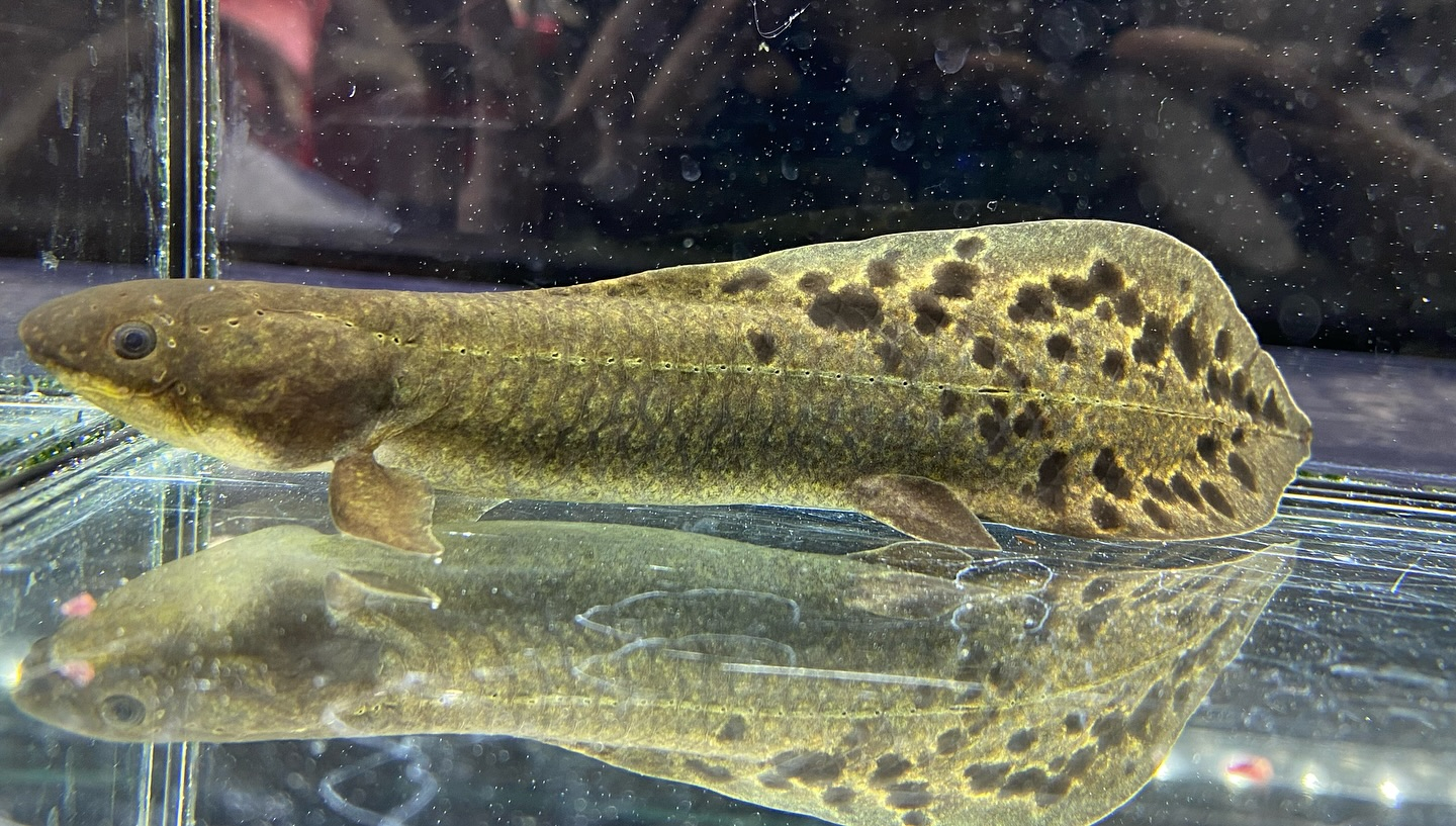 ㊗️３周年祭㊗️SALE🛍️