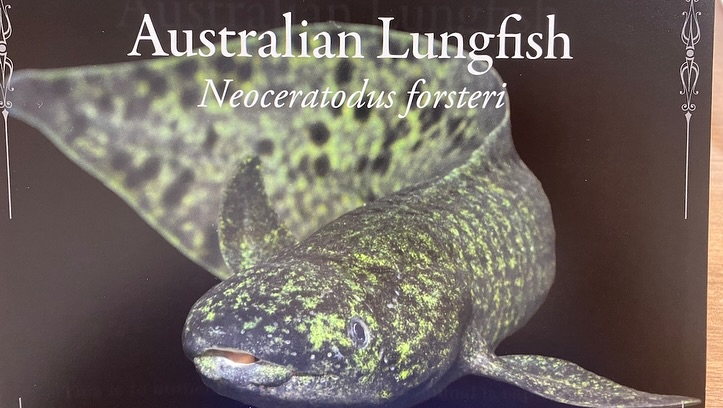 ㊗️３周年祭㊗️SALE🛍️