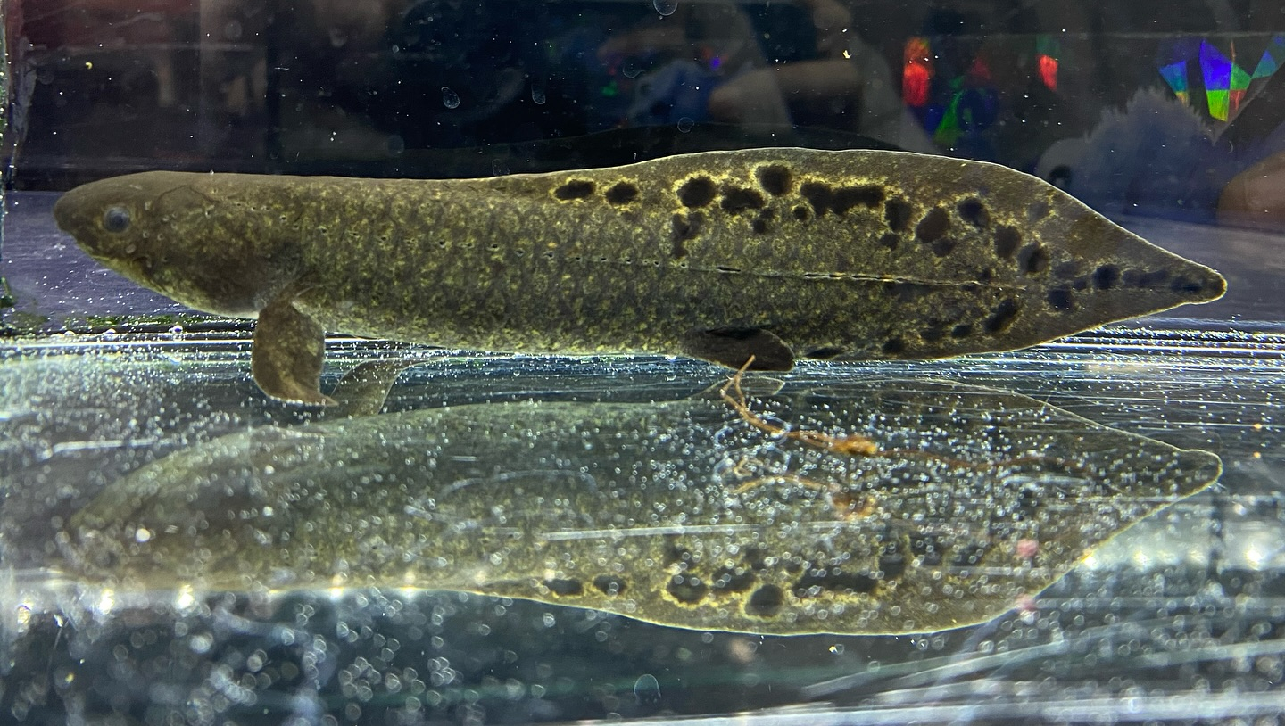 ㊗️３周年祭㊗️SALE🛍️