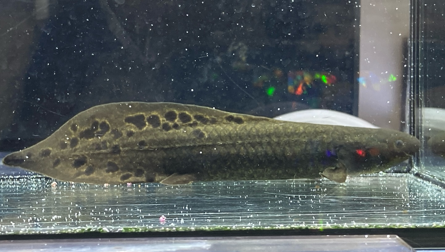 ㊗️３周年祭㊗️SALE🛍️