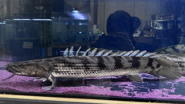 ㊗️３周年祭㊗️SALE🛍️