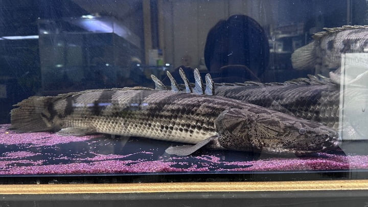 ㊗️３周年祭㊗️SALE🛍️