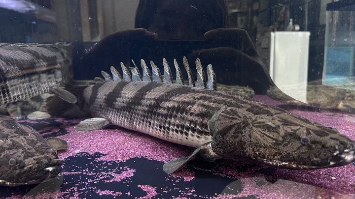 ㊗️３周年祭㊗️SALE🛍️