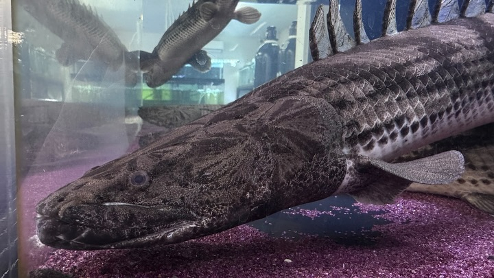 ㊗️３周年祭㊗️SALE🛍️