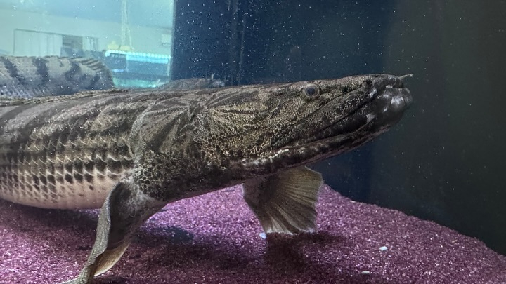 ㊗️３周年祭㊗️SALE🛍️