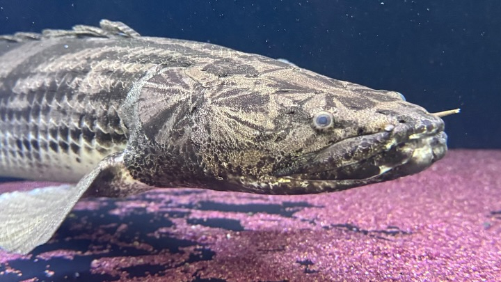 ㊗️３周年祭㊗️SALE🛍️