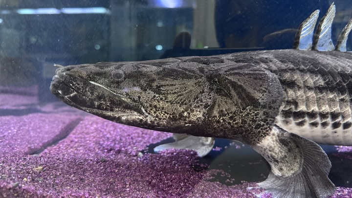 ㊗️３周年祭㊗️SALE🛍️