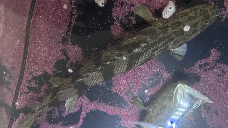 ㊗️３周年祭㊗️SALE🛍️