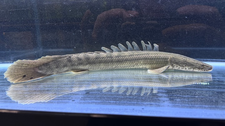 aquastyleg.base.shop/items/107...