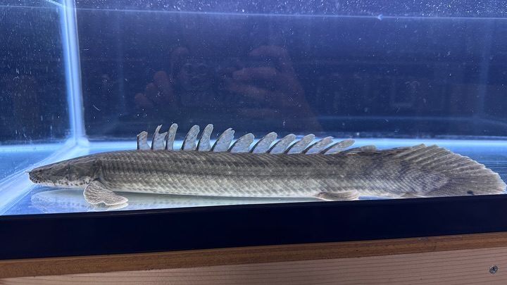 aquastyleg.base.shop/items/107...