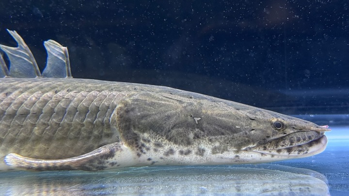 aquastyleg.base.shop/items/107...