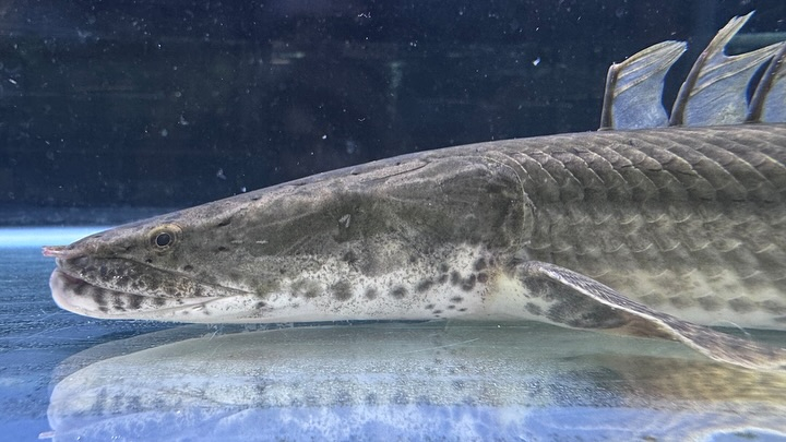 aquastyleg.base.shop/items/107...