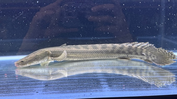 aquastyleg.base.shop/items/107...